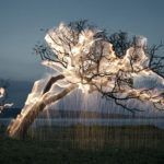 impermanent-sculptures-firework-tree-photography-vitor-schietti-12