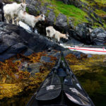 travel-kayak-photography-fjords-tomasz-furmanek-norway-16